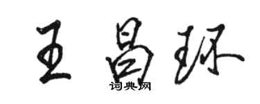 駱恆光王昌環行書個性簽名怎么寫