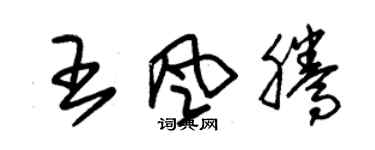 朱錫榮王風騰草書個性簽名怎么寫