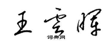 梁錦英王雲暉草書個性簽名怎么寫