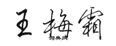 駱恆光王梅霜行書個性簽名怎么寫