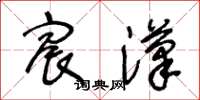 王冬齡宸漢草書怎么寫