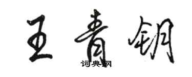 駱恆光王青鑰行書個性簽名怎么寫