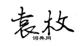 曾慶福袁枚行書個性簽名怎么寫