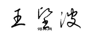 梁錦英王堅波草書個性簽名怎么寫