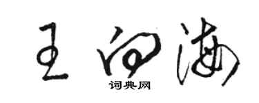 駱恆光王向海草書個性簽名怎么寫