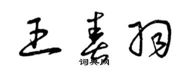 曾慶福王春羽草書個性簽名怎么寫