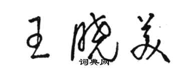 駱恆光王曉美草書個性簽名怎么寫