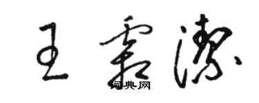 駱恆光王霜潔草書個性簽名怎么寫