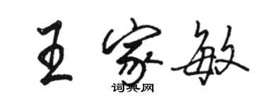 駱恆光王家敏行書個性簽名怎么寫