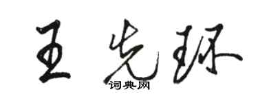 駱恆光王先環行書個性簽名怎么寫