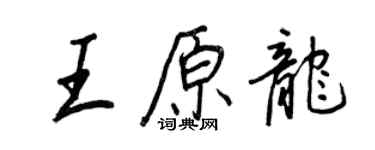 王正良王原龍行書個性簽名怎么寫