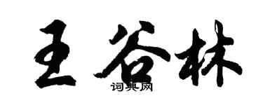 胡問遂王谷林行書個性簽名怎么寫