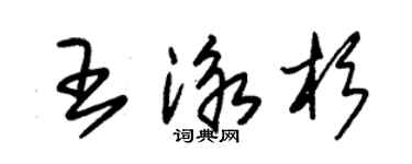 朱錫榮王泳杉草書個性簽名怎么寫