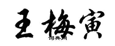 胡問遂王梅寅行書個性簽名怎么寫