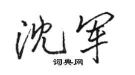 駱恆光沈軍行書個性簽名怎么寫