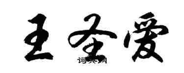 胡問遂王聖愛行書個性簽名怎么寫