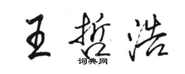 駱恆光王哲浩行書個性簽名怎么寫