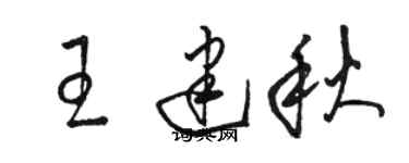 駱恆光王建秋草書個性簽名怎么寫