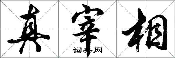 胡問遂真宰相行書怎么寫