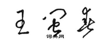 駱恆光王閩春草書個性簽名怎么寫