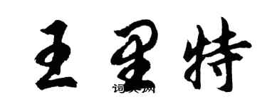 胡問遂王里特行書個性簽名怎么寫