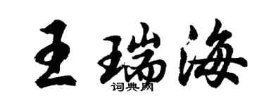 胡問遂王瑞海行書個性簽名怎么寫