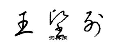 梁錦英王堅列草書個性簽名怎么寫