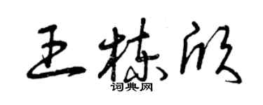 曾慶福王棟欣草書個性簽名怎么寫