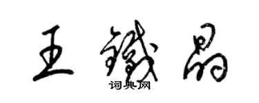 梁錦英王鐵晶草書個性簽名怎么寫