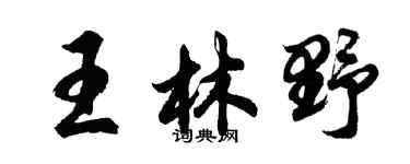 胡問遂王林野行書個性簽名怎么寫