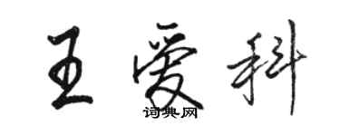 駱恆光王愛科行書個性簽名怎么寫