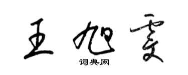 梁錦英王旭雯草書個性簽名怎么寫