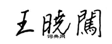王正良王曉闖行書個性簽名怎么寫