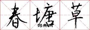 春塘草怎么寫好看