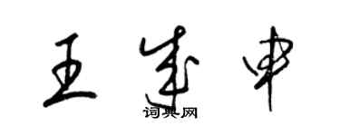 梁錦英王成申草書個性簽名怎么寫