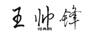駱恆光王帥鋒行書個性簽名怎么寫