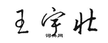 駱恆光王宇壯草書個性簽名怎么寫