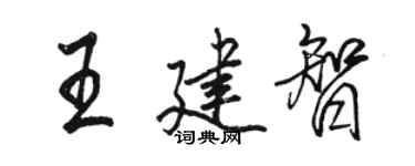 駱恆光王建智行書個性簽名怎么寫