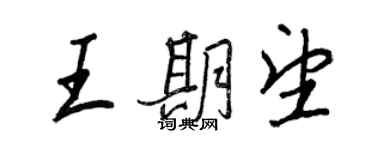 王正良王期望行書個性簽名怎么寫