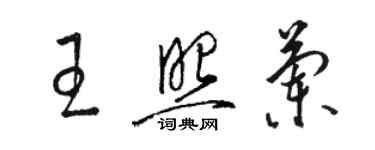 駱恆光王照蘭草書個性簽名怎么寫