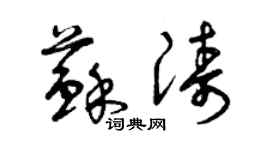 曾慶福蘇濤草書個性簽名怎么寫