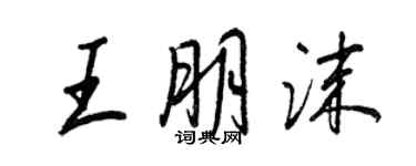 王正良王朋沫行書個性簽名怎么寫