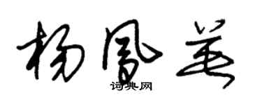 朱錫榮楊鳳英草書個性簽名怎么寫