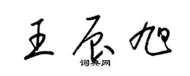 梁錦英王辰旭草書個性簽名怎么寫