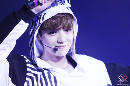 致最愛的的他——鹿晗_致最愛的的他——鹿晗作文