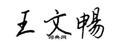 王正良王文暢行書個性簽名怎么寫