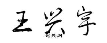 曾慶福王興宇行書個性簽名怎么寫