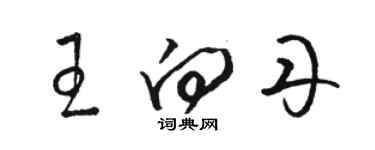 駱恆光王向丹草書個性簽名怎么寫