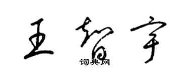 梁錦英王智宇草書個性簽名怎么寫