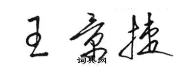 駱恆光王景捷草書個性簽名怎么寫